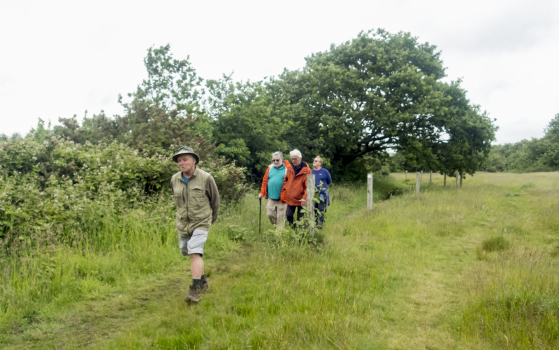 Photograph of Walking Route - Image 4