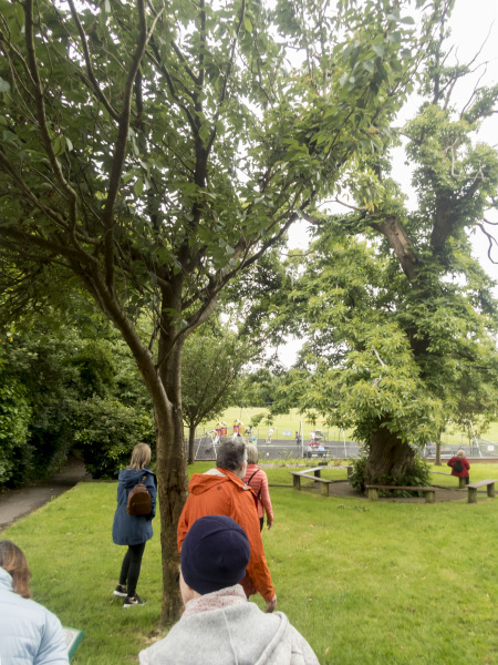 Photograph of Walking Route - Image 12