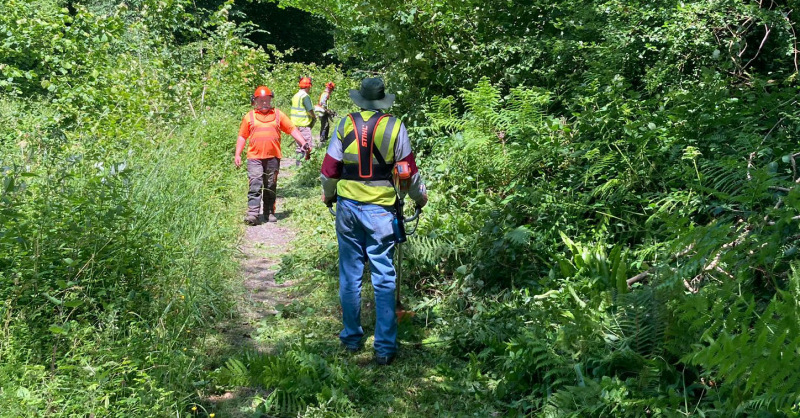 Photograph of Walking Route - Image 1