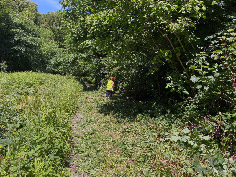 Photograph of Walking Route - Image 5