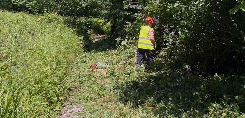 Photograph of Walking Route - Image 6