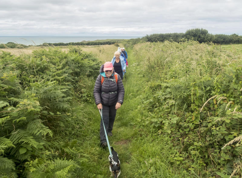 Photograph of Walking Route - Image 2