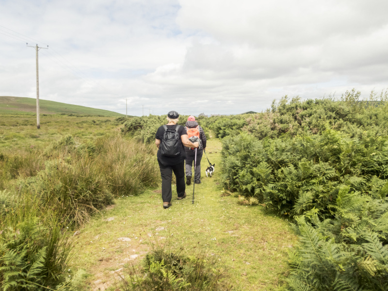 Photograph of Walking Route - Image 5