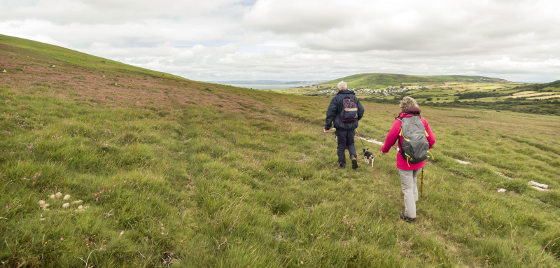 Photograph of Walking Route - Image 6