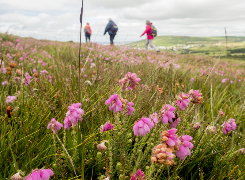 Photograph of Walking Route - Image 8