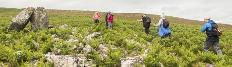 Photograph of Walking Route - Image 9