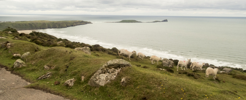 Photograph of Walking Route - Image 14