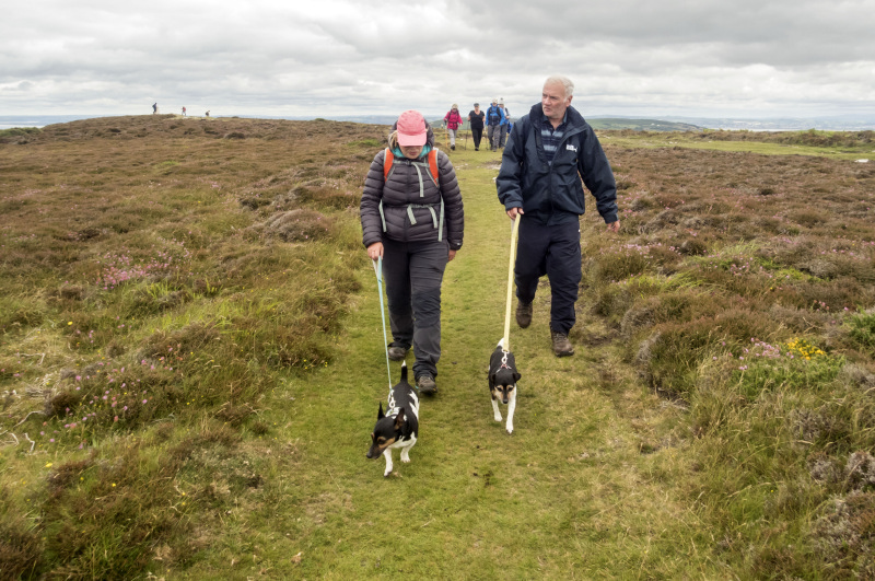 Photograph of Walking Route - Image 18
