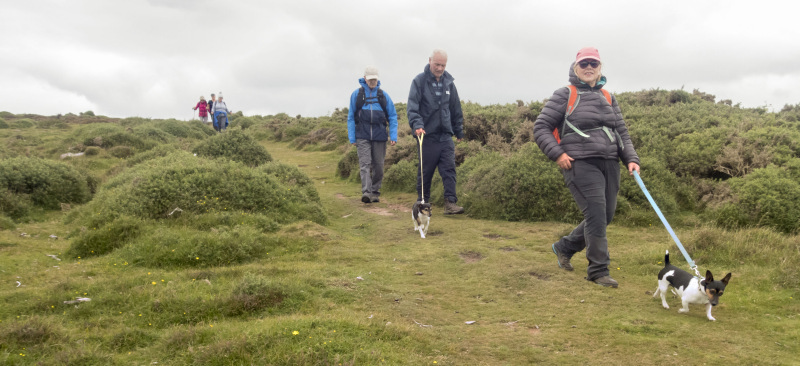 Photograph of Walking Route - Image 20