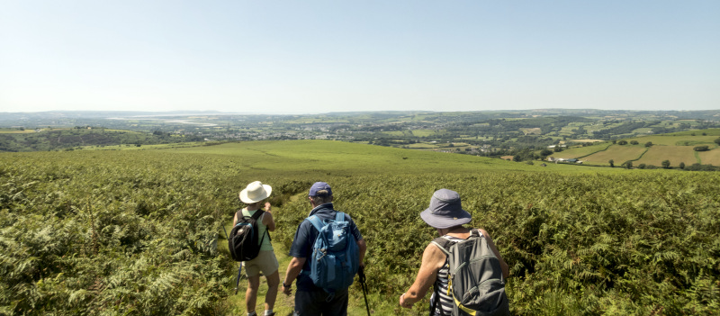 Photograph of Walking Route - Image 14