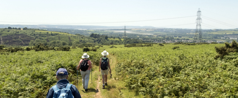 Photograph of Walking Route - Image 15