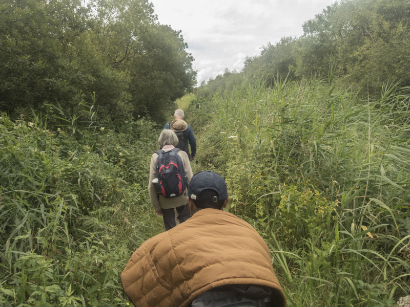 Photograph of Walking Route - Image 8