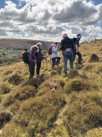 Photograph of Walking Route - Image 8