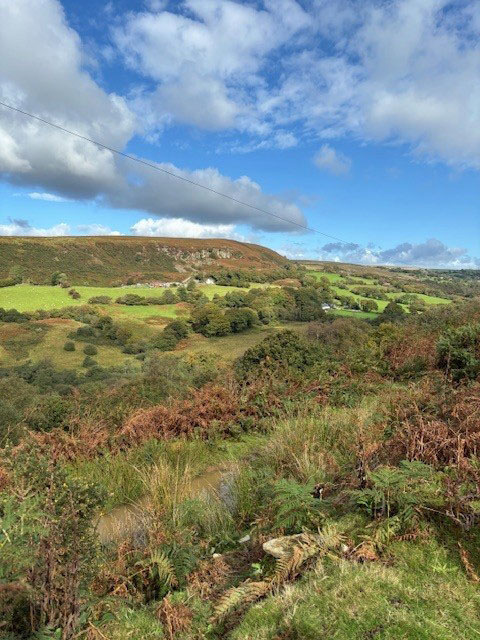 Photograph of Walking Route - Image 11