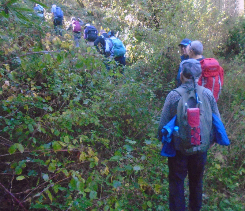 Photograph of Walking Route - Image 1