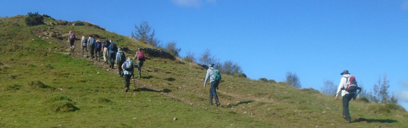 Photograph of Walking Route - Image 4
