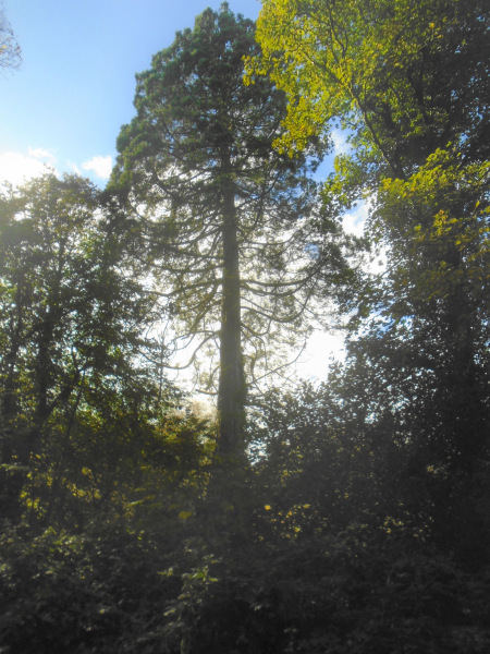 Photograph of Walking Route - Image 15