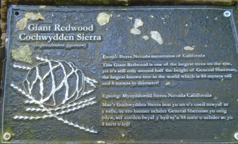 Photograph of Walking Route - Image 16