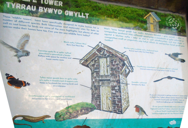 Photograph of Walking Route - Image 18