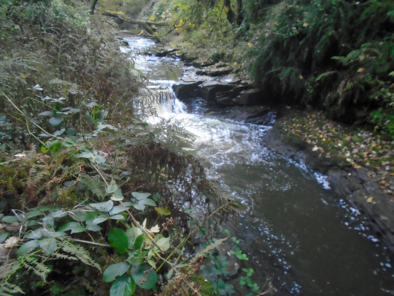 Photograph of Walking Route - Image 19