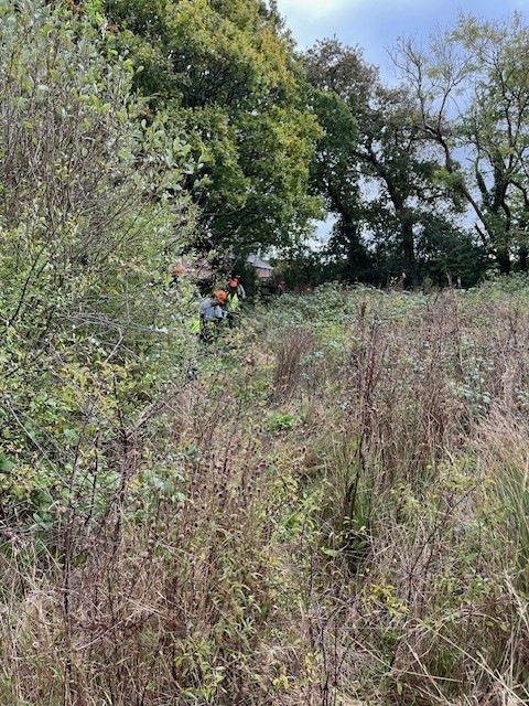 Photograph of Walking Route - Image 1
