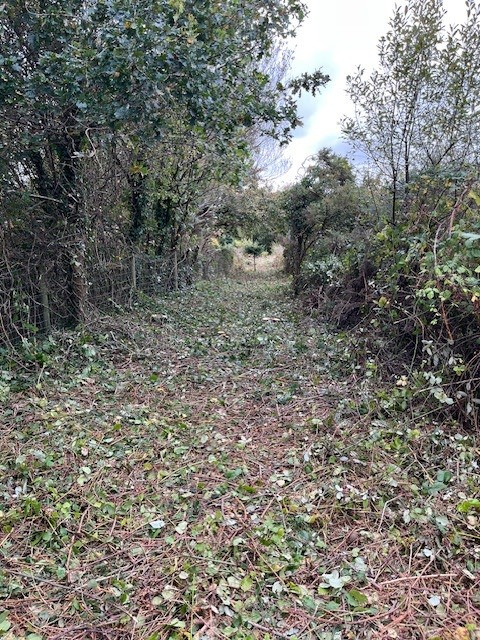Photograph of Walking Route - Image 2