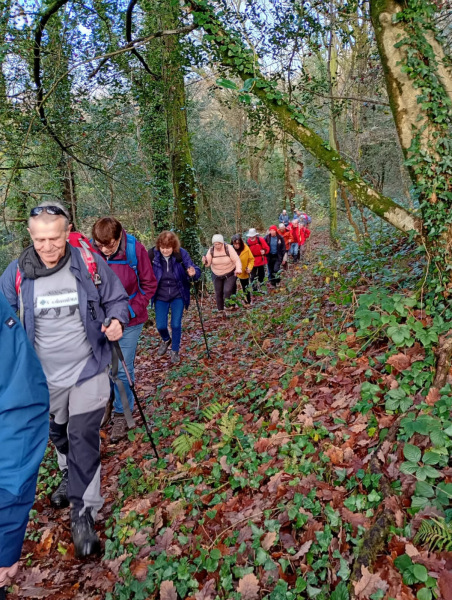 Photograph of Walking Route - Image 2