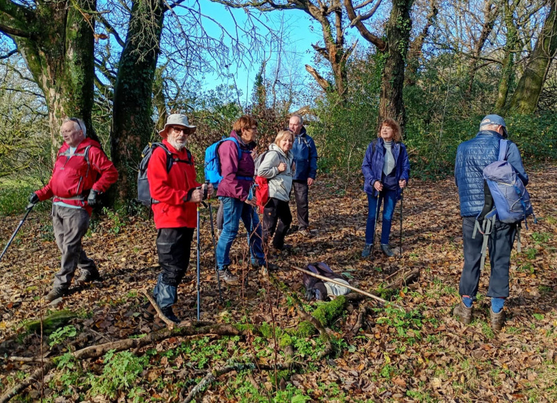 Photograph of Walking Route - Image 4