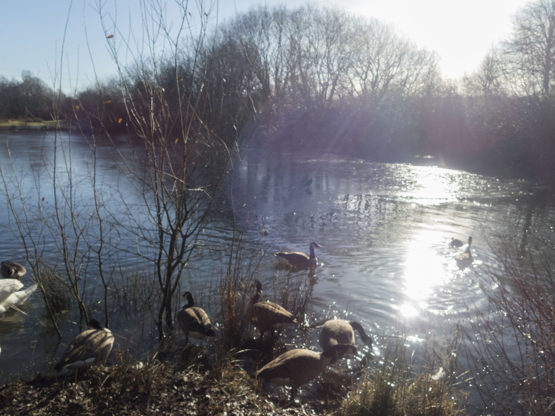 Photograph of Walking Route - Image 10