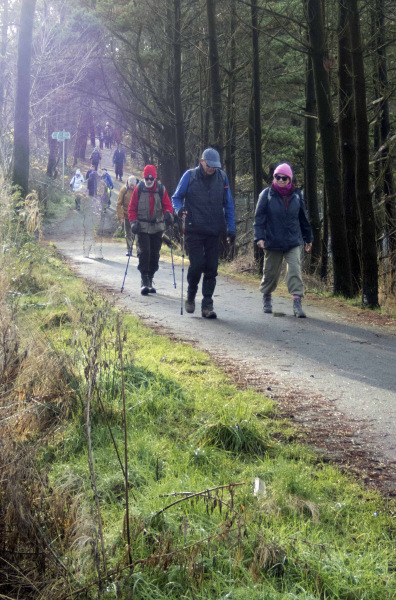 Photograph of Walking Route - Image 18
