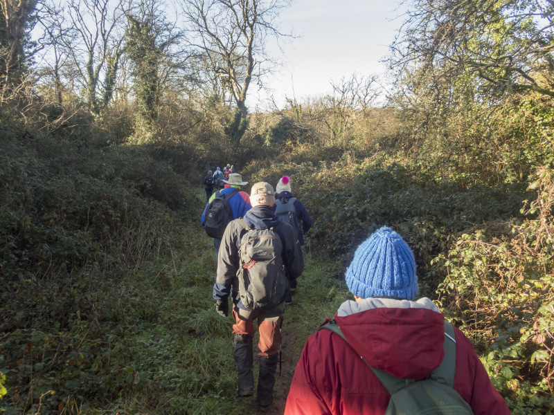 Photograph of Walking Route - Image 5