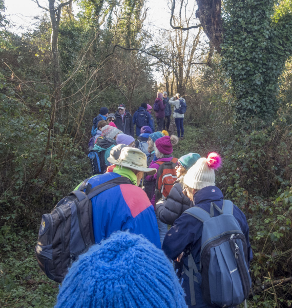 Photograph of Walking Route - Image 6