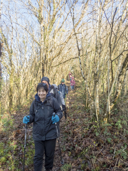 Photograph of Walking Route - Image 9