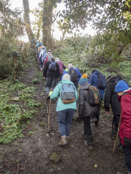 Photograph of Walking Route - Image 10
