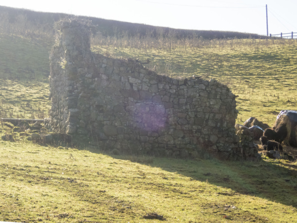 Photograph of Walking Route - Image 11