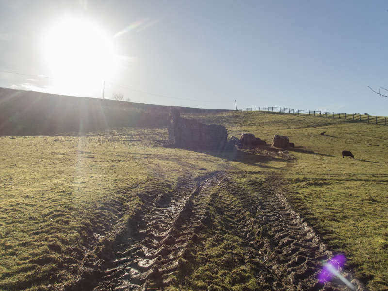 Photograph of Walking Route - Image 12