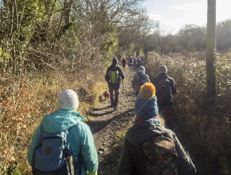 Photograph of Walking Route - Image 14