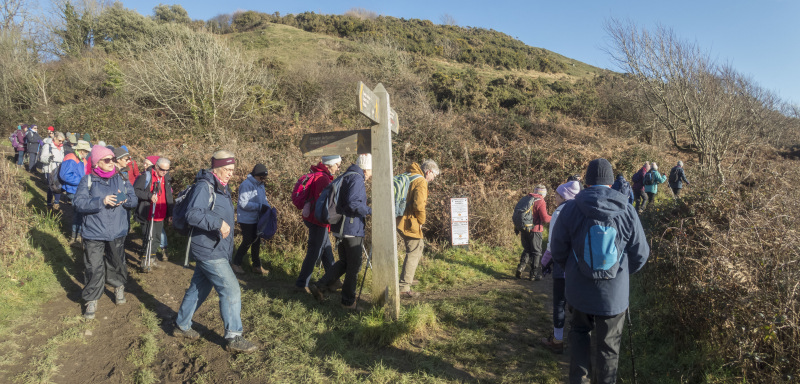 Photograph of Walking Route - Image 15