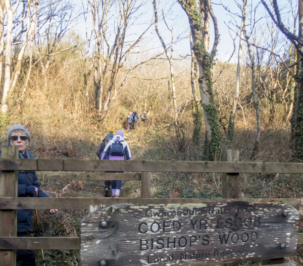 Photograph of Walking Route - Image 21