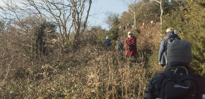 Photograph of Walking Route - Image 23