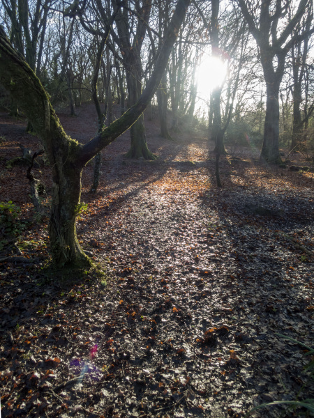 Photograph of Walking Route - Image 27