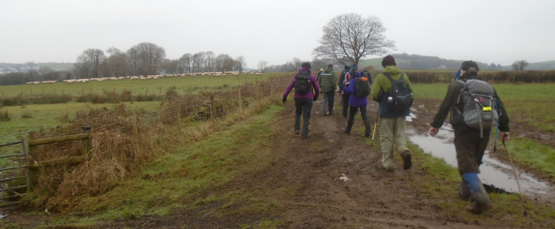 Photograph of Walking Route - Image 4