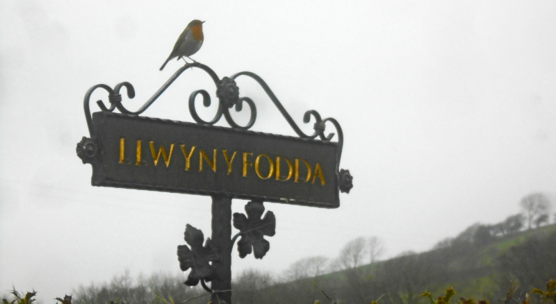 Photograph of Walking Route - Image 7