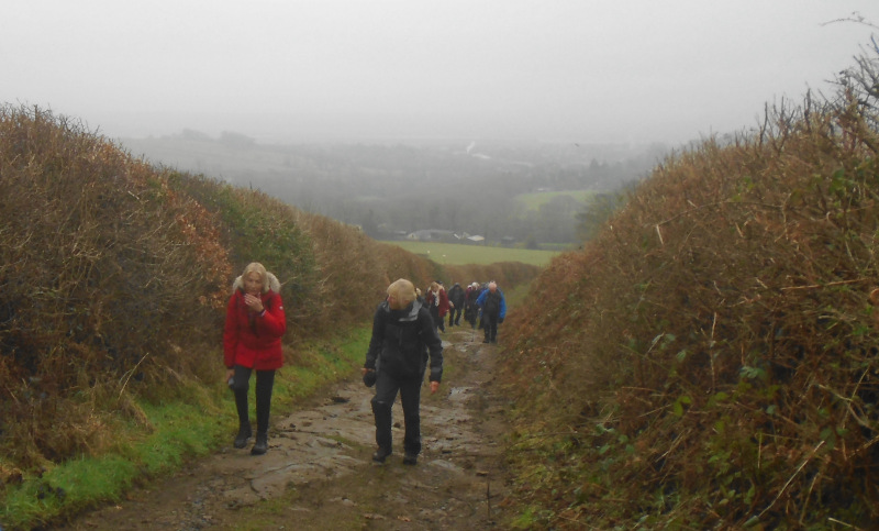 Photograph of Walking Route - Image 11