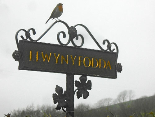 hendy-and-troserch-wood walk