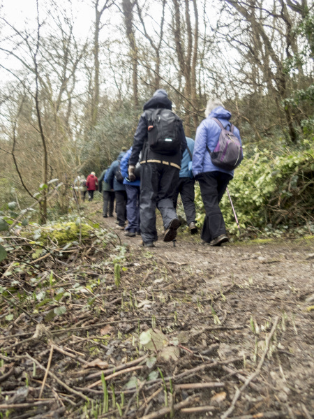 Photograph of Walking Route - Image 4