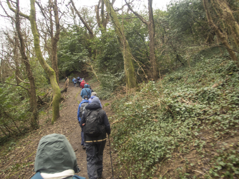 Photograph of Walking Route - Image 5