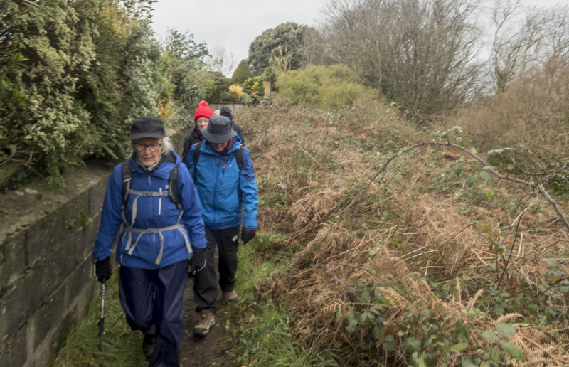Photograph of Walking Route - Image 7