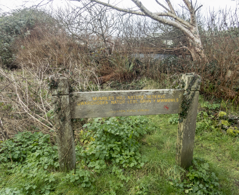 Photograph of Walking Route - Image 11