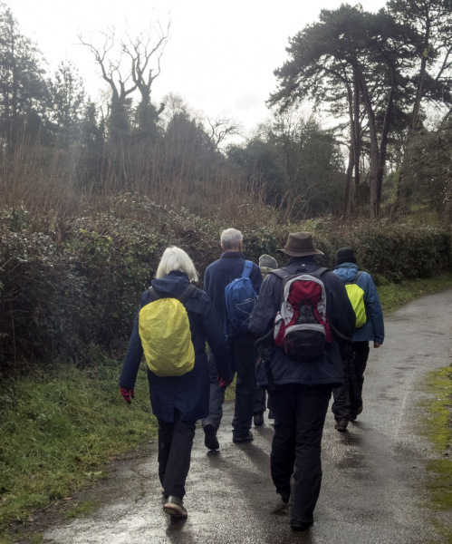 Photograph of Walking Route - Image 4